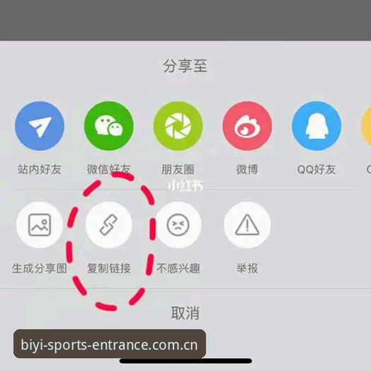 必一体育平台官网直达教程：从迷路到秒进只需三步