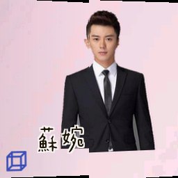 苏婉